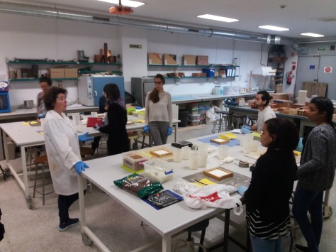 La profesora Reyes Rodríguez en el laboratorio de materiales preparando probetas con distintos materiales orgánicos y no orgánicos para comparar sus propiedades.