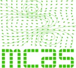 master cas XI blanco