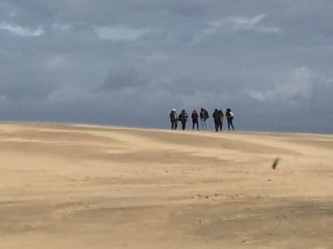 El 25 de febrero de 2017 se realizó la visita al parque nacional de Doñana, bajo la coodinación de la profesora del mcas Águeda Villa.